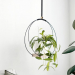 Taimede riidepuu sileda servaga dekoratiivne laialdaselt kasutatav atraktiivne rippuv taimehoidja lillepoti hoiuriiuli majapidamistarbed must