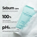 Goodal - Houttuynia Cordata Calming Cleansing Foam 150ml