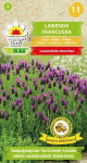 Prantsuse lavendli lilleseemned aeda, suured saagid