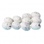 10 tk vutimunad kaunistused v&auml;ikesed aiakaunistused fotorekvisiidid Great Fidelity kunstlik naljakas &otilde;u valge