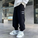 2024. aasta poiste s&uuml;gisesed t&auml;navastiilis dressip&uuml;ksid - trendikad keskmised ja suured suurused 120 cm