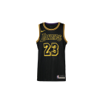Nike NBA Lakers Lebron James Swingman S&auml;rk Must Meeste Streetwear DJ1433-011 M brown
