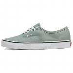 Vans Authentic 'Color Theory Iceberg Green' Vans VN000BW5CJL 44 roheline