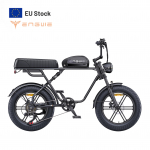 ENGWE M1 250W 48V 15.6/28.6AH Topeltliitiumaku Elektriline Jalgratas Kahevedrustus 20-tolliste Paksude Rehvidega M&auml;gi-elektriline Jalgratas M1-250W48V15.6AH-BK-YY