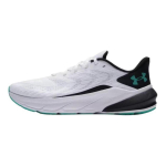 Under Armour Turbulence 3 Kerged Polsterdatud Jooksukingad Meestele Valge Must 6006717-101 40.5 gray