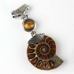 Kivihelmed Cabochon Conch Shell kivist ripats Ammoniidist fossiilsest kivist ripats looduslik spiraalmuster