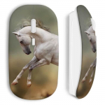 Juhtmeta hobuse hiir