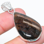 Natural Honey Dendritic Gemstone 925 Sterling Silver Gift Pendant 1.89 p0j70