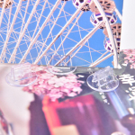 10 tk plastkaarte, mis on ainulaadsed l&auml;bipaistvad rekvisiidid paberist lauam&auml;ngukaartide jaoks