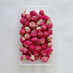 1 kast Kuivatatud lilled Kuivataimed epoks&uuml;vaigu valamise vormi DIY aroomiteraapia k&uuml;&uuml;nlavormid K&auml;sit&ouml;&ouml; T&ouml;&ouml;riistad Ehete valmistamise tarvikud