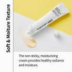 CNP Laboratory Propolis Ampule Active Shot Cream 75ml + RANDOM GIFT