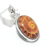 Natural Ammonite Fossil Gemstone 925 Sterling Silver Jewelry Pendant 1.77 h4e21