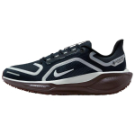 Nike Air Zoom Pegasus 41 GORE-TEX Tume Obsidian Antratsiit Puhas Plaatin Naiste Tennised Hall FQ1357-401 39 black
