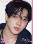 Stray Kids 4. album KARMA akordionversioon. (Eeltellimuse kingitus sisaldub) changbin