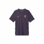 Nike Dri-FIT Kiiresti Kuivav L&uuml;hikeste Varrukatega Inglismaa Jalgpallis&auml;rk 2024/25 FJ4272-573 EU XL lilla/must