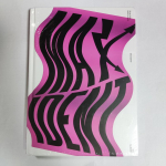 Album Stray Kids- MAXIDENT Piiratud GO Versioon