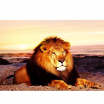 5D DIY Teemantmaal T&auml;ispuurimine Loomad L&otilde;virist Teemanttikandid Pilt &Uuml;mar teemant 20X30