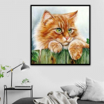 T&auml;isteemanttikandid Animal Orange Cat 5D teemantmaali ristpistes 25x25