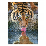 5D DIY Teemantmaaling Meremaastik Ristpistes Maastiku Teemanttikandid 20X30CM