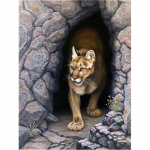 Raamita tiigrid loomad isetegemise maal V&auml;rvimine &otilde;limaal l&otilde;uendil joonistus seinakunsti pilt 20X30CM