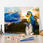 DIY maalimine numbrite j&auml;rgi Kodukaunistus Digitaalne &otilde;limaal K&auml;sitsi maalitud l&otilde;uend Numbrid &otilde;limaal 40x50cm no frame