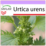 SAFLAX - Koeran&otilde;ges - 150 seemet - Urtica urens
