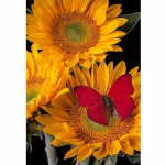 Teemantmaali ristpistes k&auml;sit&ouml;&ouml;komplekt teemanttikanditele Seinakaunistused P&auml;evalillepilt Poolvalmis Hobid Full Round 20x30CM