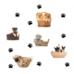 Cartoon Paw Dog Puppy Eemaldatav tapeet seinakleebis DIY Decal