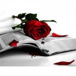 DIY 5D teemantmaal iluroos t&auml;is &Uuml;mmargused teemanttikandid ristpiste komplekt mosaiik kivist pilt kaunistus kingitus Full Round 20x30CM