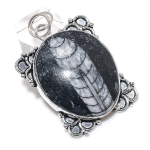 Orthoceras Fossil Gemstone 925 Sterling Silver Jewelry Pendant 2.29 j2h62