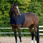 Hobuse &otilde;lakaitse, veniv spandex vest mugavuse ja ohutuse tagamiseks S