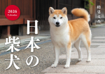 Jaapani Shiba Inu Kalender 2026 (Seinale riputamine) (Kalender)