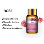 PHATOIL roosipuhas eeterlik &otilde;li tilgutiga terve rahustava &otilde;hu jaoks Fresh Care Beauty Skin Care Spa kehamassaaži aroomi&otilde;li 5ML/10ML/30ML/100ML 1 PC