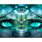 5D teemantmaal Abstraktsed silmad Teemanttikandid Ristpistes Rhinestone'i mosaiikmaal 20X30CM