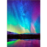 Loomade teemanttikandid 5D DIY teemantmaaling j&otilde;ulutiigri ja kaelkirjaku ristpistes 20X30CM punane