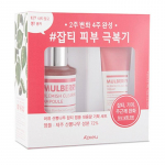 A'PIEU Mulberry Blemish Blemish Cleaning Special komplekt (tedret&auml;hnid, plekid, vead intensiivhooldus/tooner+ampull+mask+kreem+puuvill)