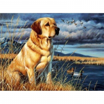 DIY Dog 5D Teemantmaaling Loomade Teemanttikandid T&auml;is&uuml;mmargune puur Mosaiik Rhinestone Ristpistes Kunstsein Kodukaunistuse kingitus Full Round 20x30CM