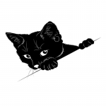 T&auml;ielik &uuml;mmargune teemantmaali &uuml;mmargune 5D armas kass, teemanttikandid, loom, k&auml;sit&ouml;&ouml;, kodukaunistamise kingitus Full Round 20x30CM