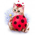 3D-teemanttikandid ristpistega &uuml;mmargune kivimaaling loom kass Full Round 20x25CM