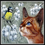 5D-teemantmaal, t&auml;isteemantmaal, kassi ja linnu &uuml;mmargune teemantmosaiikmustriga kodukaunistus isetehtud k&auml;sitsi valmistatud 30X30cm