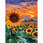 T&auml;isteemanttikandid P&auml;evalill Teemantmosaiikmaalikomplektid P&auml;ikeseloojangu maastik Loomingulised Hobid Pildid Kodukujundus Full Round 20x30CM