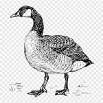 Line Art Kujutav kunst Triikraud soojus&uuml;lekandel tr&uuml;kkimine Vin&uuml;&uuml;lplaastrid Kleebis riietele Ise ise teha aplikatsioonid pestavad plaastrid