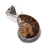 Natural Ammonite Fossil Gemstone 925 Sterling Silver Gift Pendant 2.17 m1c31