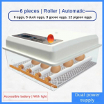 50 W v&auml;ikese majapidamises kasutatav munahaudeja multifunktsionaalne intelligentne inkubaator t&auml;isautomaatne &uuml;he kl&otilde;psuga miniinkubaator Type A