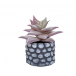 Kunsttaimed Realistliku kujuga Loov t&ouml;&ouml;lauaehitis Minisimulatsioon Potis sukulendid G