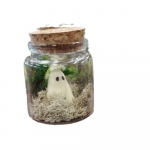 Vaigust mini lemmikloomade kummitused purgis, klaaskupliga sisekujundusega k&auml;sit&ouml;&ouml; helendab pimedas V&auml;ike kummitus koos samblaga helendavad kummituskujukesed