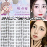 P&auml;evalille kunstripsmed loomulikud simulatsioonid Koomilised silmad Kunstripsmed pikendus isetehtud meik Individuaalne segmenteeritud silm as the picture