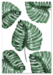 Plakat monstera pattern 21x29,7 cm A4