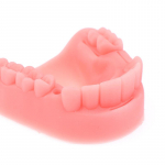 4 tk hambaravi simulatsiooni suu&otilde;mbluse mudel igeme&otilde;mbluse &otilde;petamise varustus