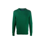 Polo Ralph Lauren S&uuml;gis/Talv 21 &Uuml;mmarguse kaelusega logoga pikak&auml;eline kampsun Meeste kampsun Roheline 710810846-003 XS